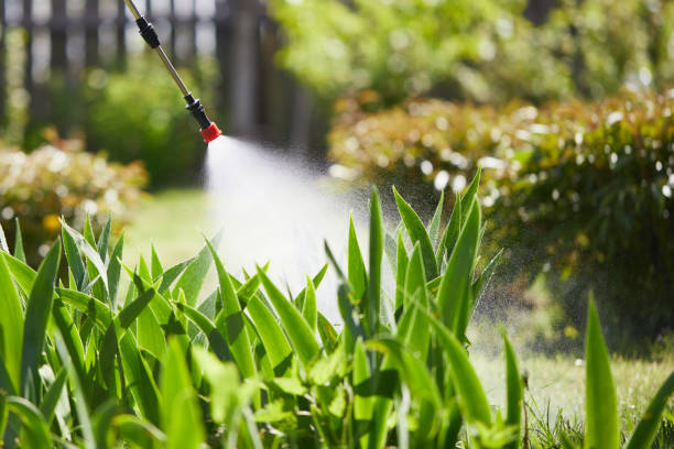Void Injection for Cockroach Colonies in Lake Sherwood