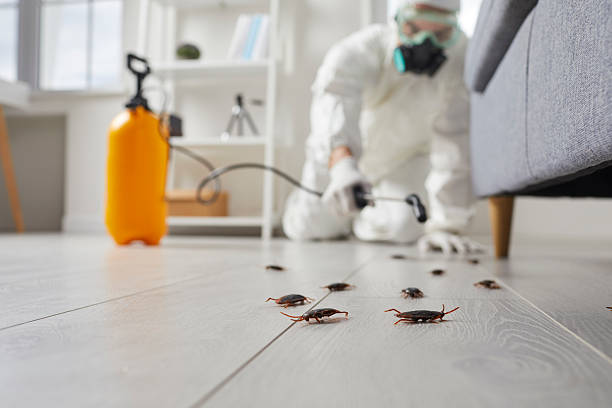 Commercial Kitchen Cockroach Control in Lake Sherwood